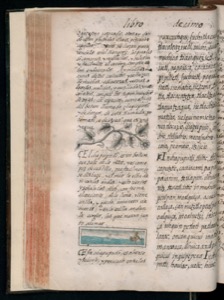 Vol3 300dpi — Bernardino de Sahagún (coord.)