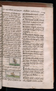 Página de un libro antiguo con texto impreso en dos — Bernardino de Sahagún (coord.)