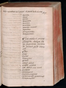 Vol3 300dpi — Bernardino de Sahagún (coord.)