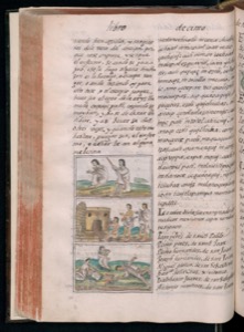 Vol3 300dpi — Bernardino de Sahagún (coord.)