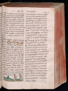 Páginas de un códice o manuscrito antiguo con texto manuscrito — Bernardino de Sahagún (coord.)