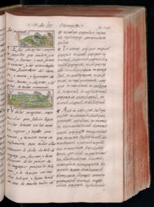 Vol3 300dpi — Bernardino de Sahagún (coord.)