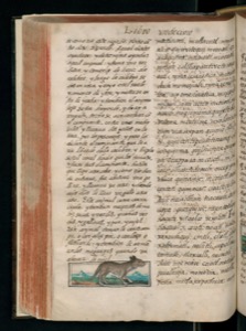 Página de un manuscrito antiguo — Bernardino de Sahagún (coord.)