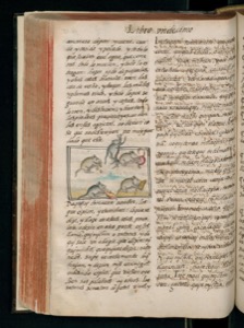 Imagen de arte digital con título inservible — Bernardino de Sahagún (coord.)