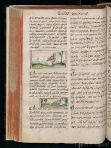 Página de un códice o manuscrito antiguo con texto manuscrito
