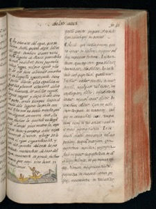 Páginas de un manuscrito antiguo con texto en español — Bernardino de Sahagún (coord.)