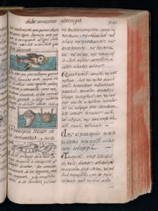 Vol3, lámina — Bernardino de Sahagún (coord.)