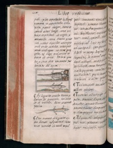 Vol3 300dpi — Bernardino de Sahagún (coord.)