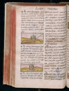 Vol3 300dpi — Bernardino de Sahagún (coord.)