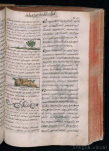 Códice Florentino, vol. 3, lámina 549