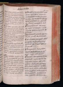 Páginas de un manuscrito o libro antiguo — Bernardino de Sahagún (coord.)