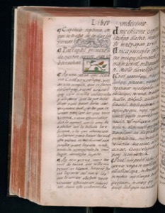 Vol3 300dpi — Bernardino de Sahagún (coord.)