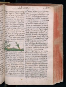 Vol3 300dpi — Bernardino de Sahagún (coord.)