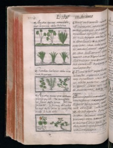 Vol3 300dpi — Bernardino de Sahagún (coord.)