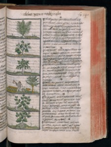 Vol3 300dpi — Bernardino de Sahagún (coord.)