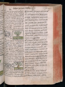 Páginas abiertas de un antiguo volumen — Bernardino de Sahagún (coord.)