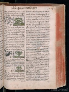 Vol3, lámina — Bernardino de Sahagún (coord.)