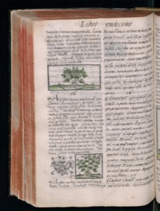 Vol3 300dpi — Bernardino de Sahagún (coord.)