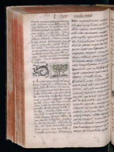 Vol3 300dpi — Bernardino de Sahagún (coord.)