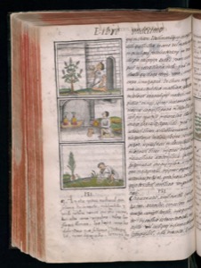 Vol3 300dpi — Bernardino de Sahagún (coord.)