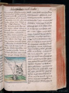 Códice Florentino, vol. 3, lámina 671
