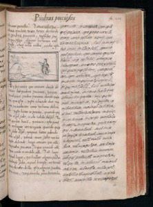 Piedras Pacíficas: Página ilustrada de un libro antiguo — Bernardino de Sahagún