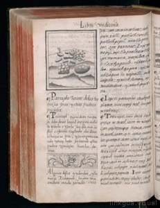 Códice Florentino, vol. 3, lámina 726