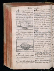 Vol3, lámina — Bernardino de Sahagún (coord.)