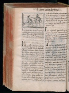 Códice Florentino, — Vol. 3, lámina — Bernardino de Sahagún (coord.)