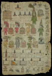 Imagenes extraidas mattributos 0011