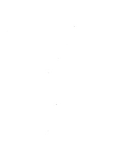 Imagenes extraidas page 0122 img 01 — Anónimo tlacuilo