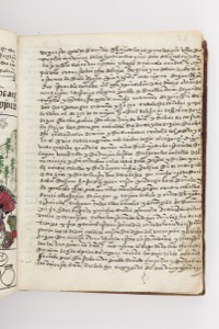 Relación de Michoacán, lámina — Anónimo (atribuido a Jerónimo de Alcalá, OFM)