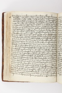 Páginas abiertas de un antiguo manuscrito — Anónimo purépecha