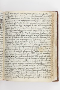 Páginas de un antiguo manuscrito o códice abierto — Anónimo purépecha