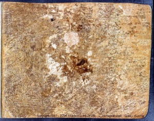Portada de libro antiguo, textura de pergamino desgastado — Anónimo mixteco