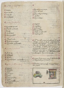 Imagenes gallica btv1b84559448 p0021 — Anónimo tlacuilo mexica