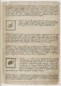 Páginas de códice con glifos y texto en náhuatl — Anónimo