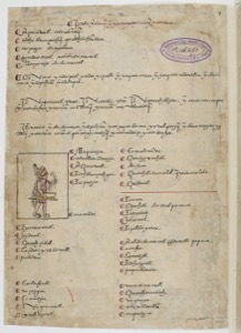 Imagenes gallica btv1b84559448 p0047 — Anónimo tlacuilo mexica
