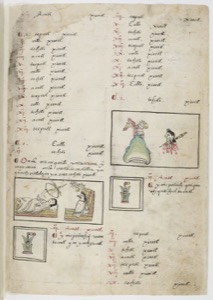 Páginas de códice con imágenes y texto en náhuatl — Anónimo