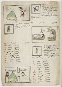 Imagenes gallica btv1b84559448 p0087 — Anónimo tlacuilo mexica