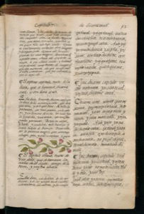 Página de un antiguo códice o libro impreso — Bernardino de Sahagún
