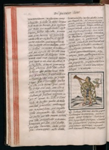 Página de un libro impreso antiguo con texto en tipografía — Bernardino de Sahagún