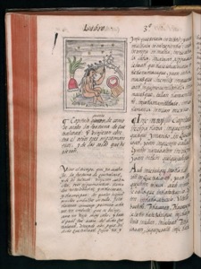 Imagenes hr codice florentino vol1 hr — Bernardino de Sahagún (coord.)