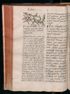 Imagenes hr codice florentino vol1 hr — Bernardino de Sahagún