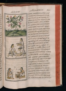 Imagenes hr codice florentino vol1 hr — Bernardino de Sahagún (coord.)