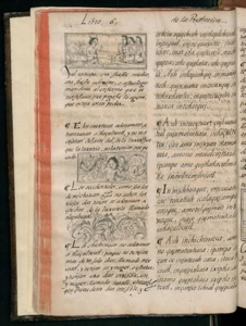 Imagenes hr codice florentino vol2 hr — Bernardino de Sahagún