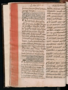 Páginas abiertas de un antiguo libro o manuscrito — Bernardino de Sahagún