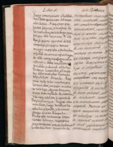 Manuscrito antiguo abierto — Bernardino de Sahagún