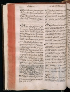 Imagenes hr codice florentino vol2 hr — Bernardino de Sahagún