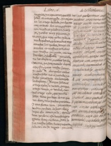 Manuscrito antiguo abierto que muestra dos páginas con texto escrito — Bernardino de Sahagún